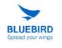 Bluebird Pidion